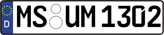 MS-UM1302