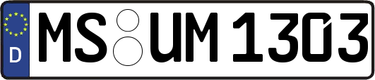 MS-UM1303
