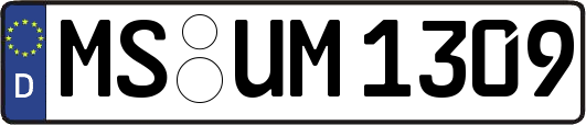 MS-UM1309