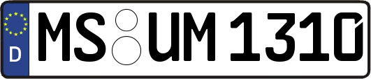 MS-UM1310
