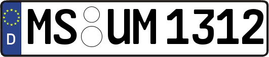 MS-UM1312