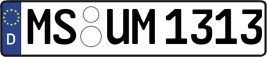 MS-UM1313