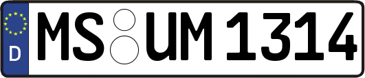 MS-UM1314