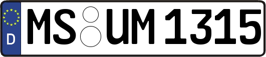 MS-UM1315