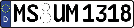 MS-UM1318
