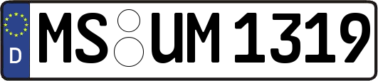 MS-UM1319