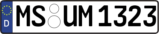 MS-UM1323