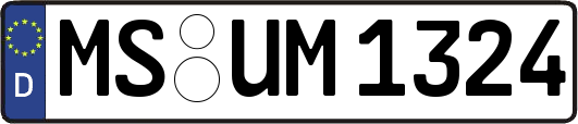 MS-UM1324