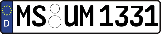 MS-UM1331