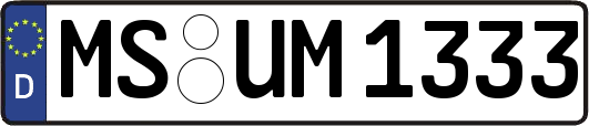 MS-UM1333