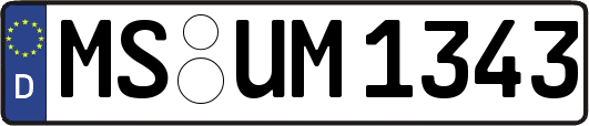 MS-UM1343