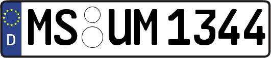 MS-UM1344