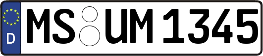 MS-UM1345