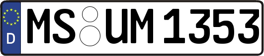 MS-UM1353