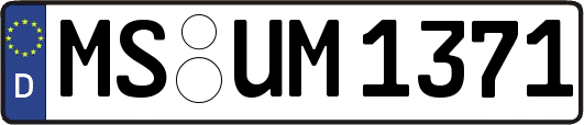 MS-UM1371