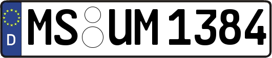 MS-UM1384