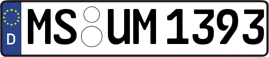 MS-UM1393