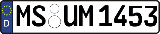 MS-UM1453