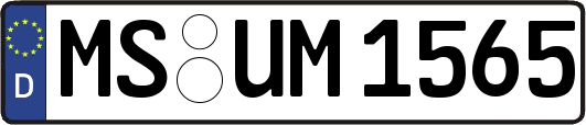 MS-UM1565