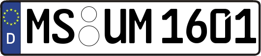 MS-UM1601