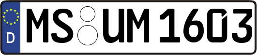 MS-UM1603