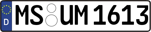 MS-UM1613