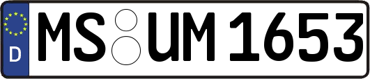 MS-UM1653