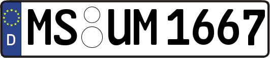 MS-UM1667
