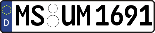 MS-UM1691