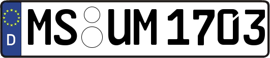 MS-UM1703