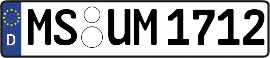 MS-UM1712