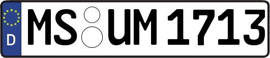 MS-UM1713