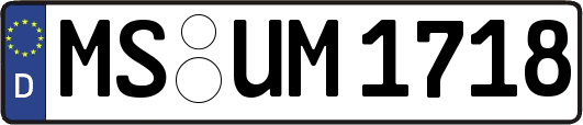 MS-UM1718