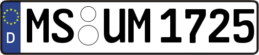MS-UM1725