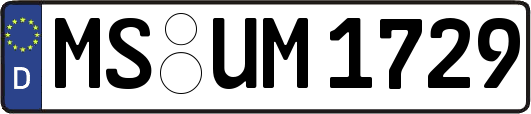 MS-UM1729