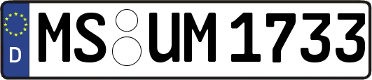 MS-UM1733