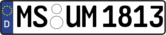 MS-UM1813