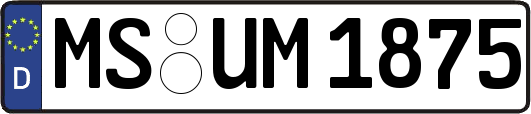 MS-UM1875