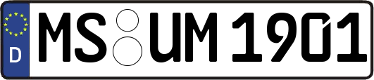 MS-UM1901
