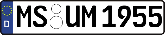 MS-UM1955