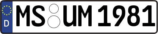 MS-UM1981