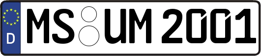 MS-UM2001
