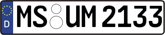 MS-UM2133