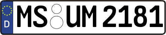 MS-UM2181