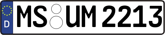 MS-UM2213