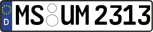 MS-UM2313