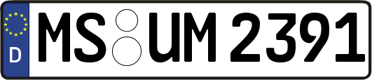 MS-UM2391
