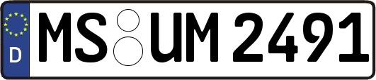MS-UM2491