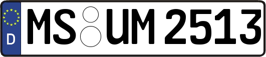 MS-UM2513