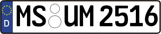MS-UM2516